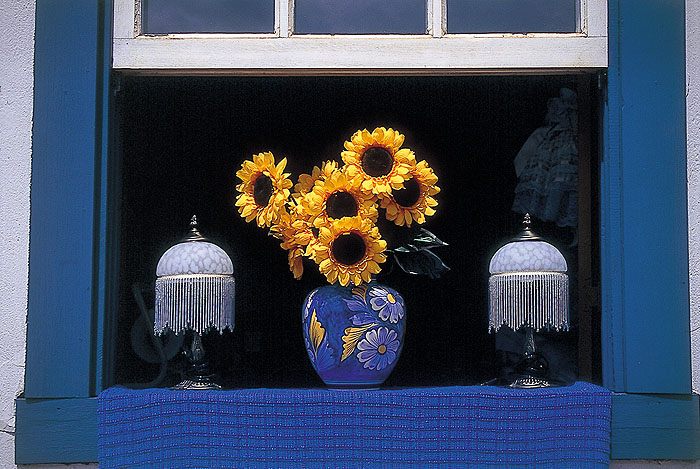 BR0900EPB21_tiradentes_flowers.jpg [&copy; Last Frontiers Ltd]