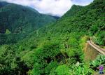 Paranaguá train - Curitiba, Morretes and the Atlantic rainforest, Brazil