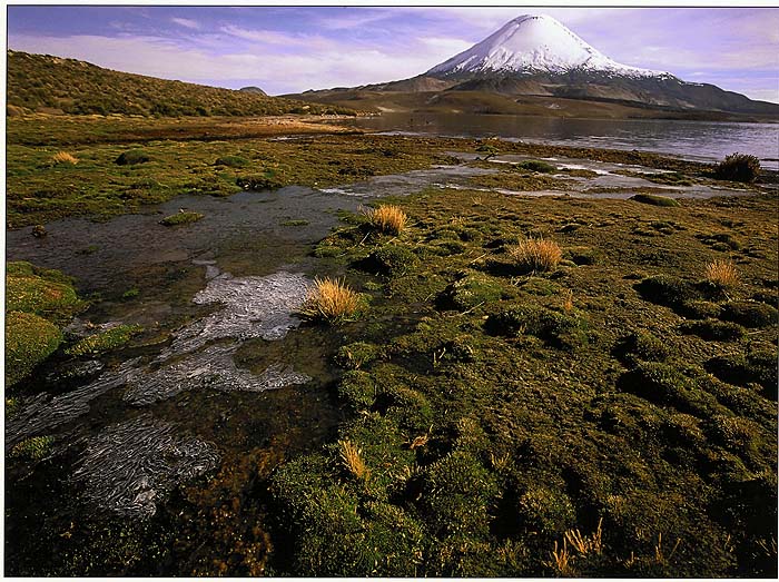 Bob_Pearson_Parinacota.jpg [&copy; Last Frontiers Ltd]