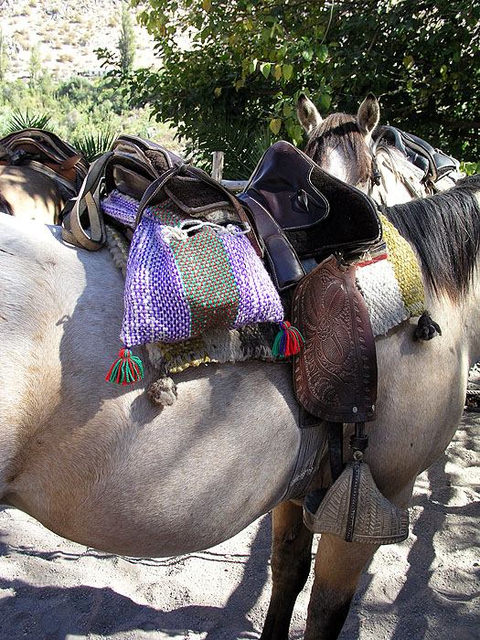 CH0304EP416_hacienda_los_andes.jpg [&copy; Last Frontiers Ltd]