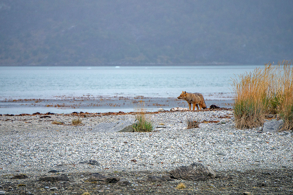 CL0319HG221_australis-ainsworth-bay.jpg [&copy; Last Frontiers Ltd]