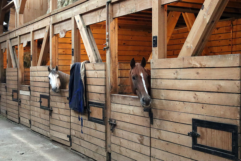 CL0619EP404_explora-patagonia-stables.jpg [&copy; Last Frontiers Ltd]