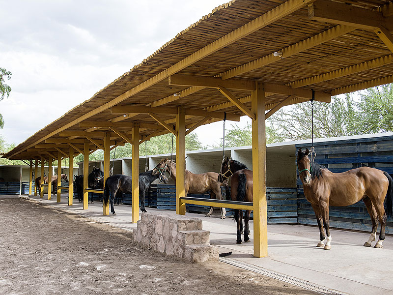 CL15EX01_explora-atacama-stables.jpg [&copy; Last Frontiers Ltd]