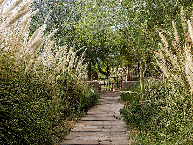 CL15EX07_explora-atacama-gardens.jpg [&copy; Last Frontiers Ltd]