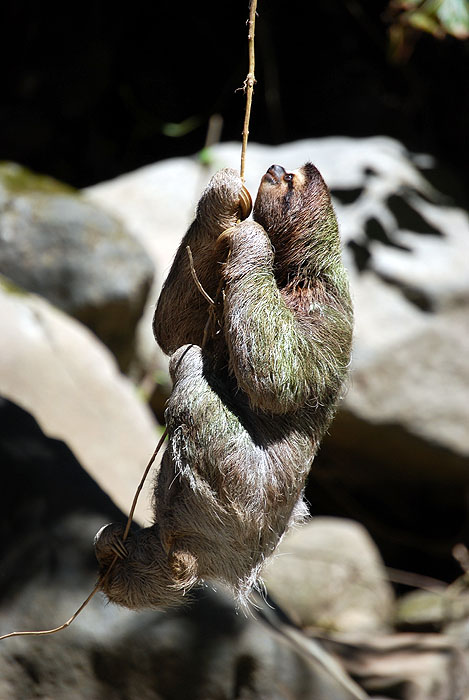CR0508SM109_pacuare-rafting_17.jpg [&copy; Last Frontiers Ltd]