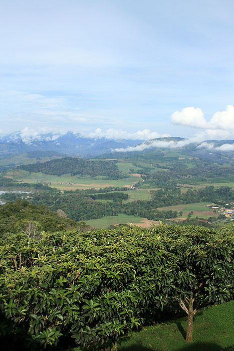 CR0509ED620_views-from-hacienda-tayutic.jpg [&copy; Last Frontiers Ltd]