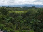 Image: Finca Rosa Blanca - San José and surrounds, Costa Rica