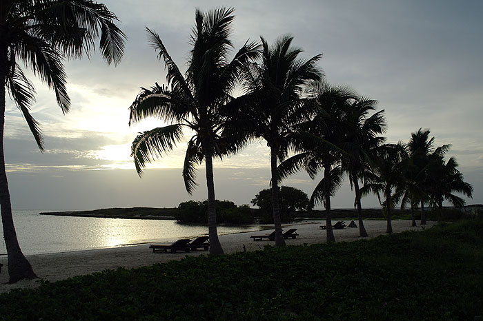 CU0612JL245_cayo-santa-maria-melia-buenavista-rs.jpg [&copy; Last Frontiers Ltd]