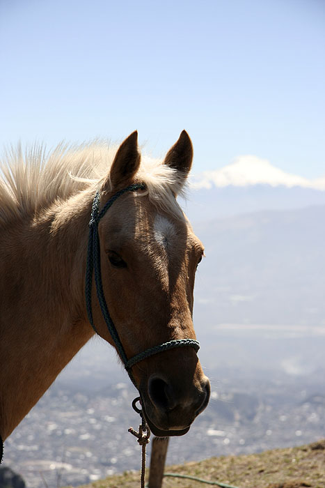 EC0908EP425_quito-teleferico.jpg [&copy; Last Frontiers Ltd]
