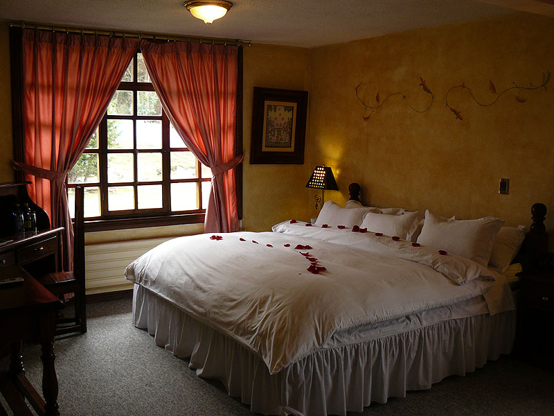 EC0917NL0742_riobamba-hosteria-la-andaluza-single-room.jpg [&copy; Last Frontiers Ltd]