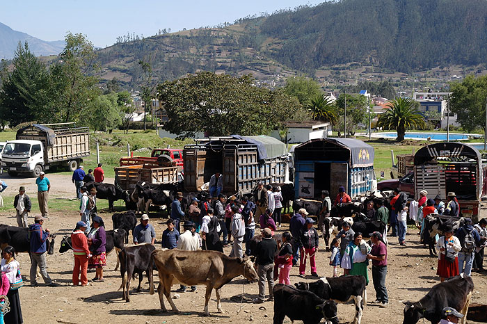 EC1012JL343_otavalo-market.jpg [&copy; Last Frontiers Ltd]