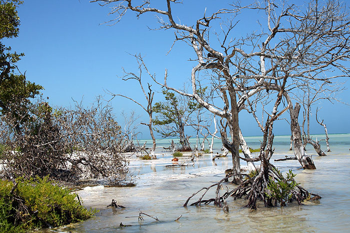 MX0808EM266_isla_holbox.jpg [&copy; Last Frontiers Ltd]