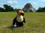 Image: Uxmal - Mérida