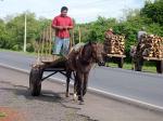 Local transport near León