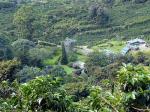 Finca Lerida - Chiriquí Highlands, Panama