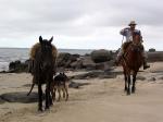 Laguna Negra - José Ignacio and the East, Uruguay